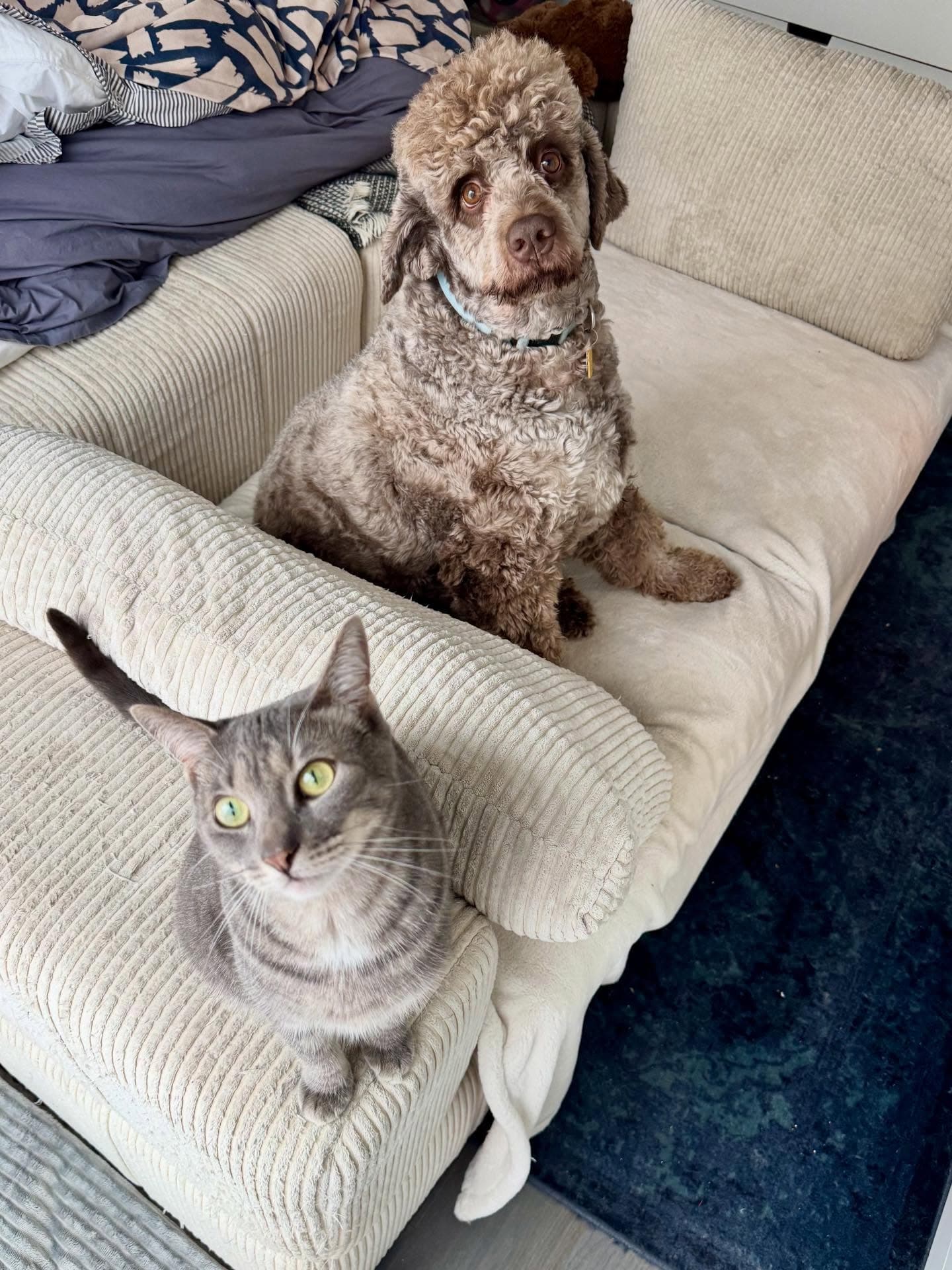 Rasmus and Mojo on the couch